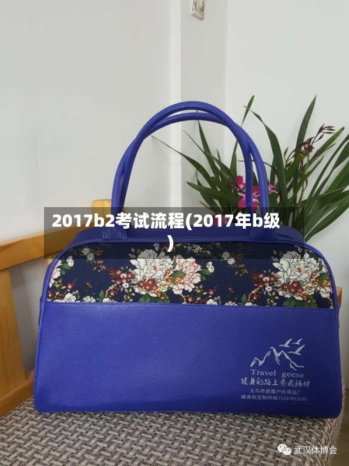 2017b2考试流程(2017年b级)-第3张图片