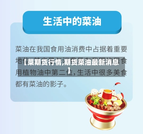 【菜期货行情,期货菜油最新消息】-第3张图片