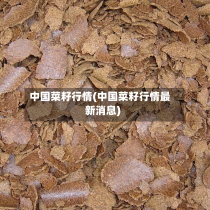 中国菜籽行情(中国菜籽行情最新消息)-第3张图片
