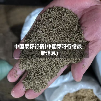 中国菜籽行情(中国菜籽行情最新消息)-第2张图片