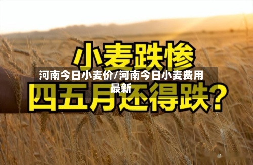 河南今日小麦价/河南今日小麦费用
最新