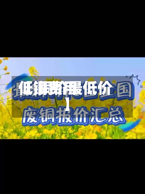 【铜费用
低,铜价最低价】-第2张图片