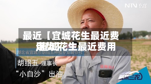 最近【宜城花生最近费用,宜城花生最近费用走势】-第2张图片