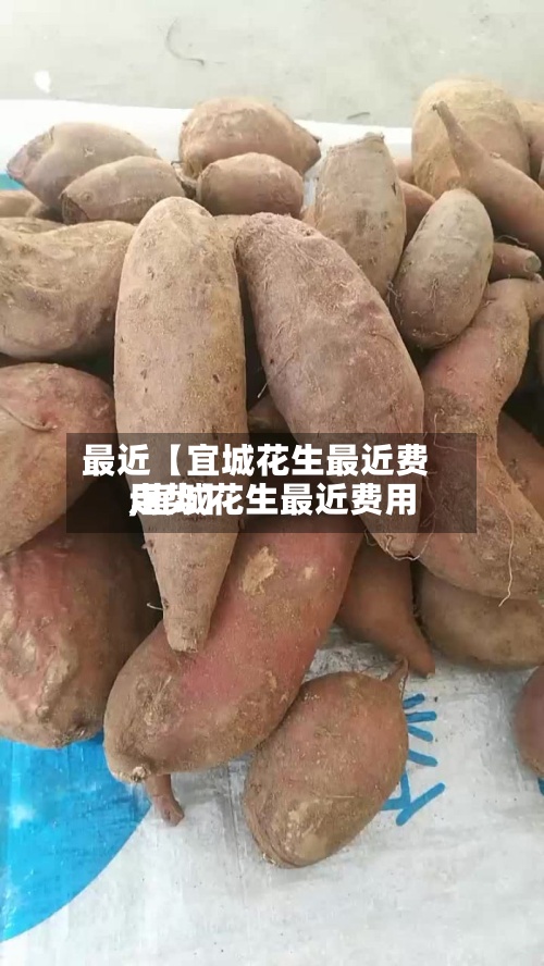 最近【宜城花生最近费用
,宜城花生最近费用
走势】