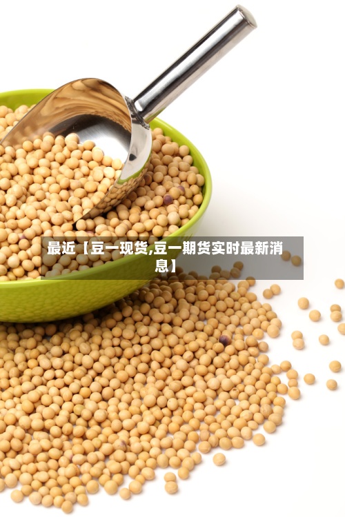 最近【豆一现货,豆一期货实时最新消息】