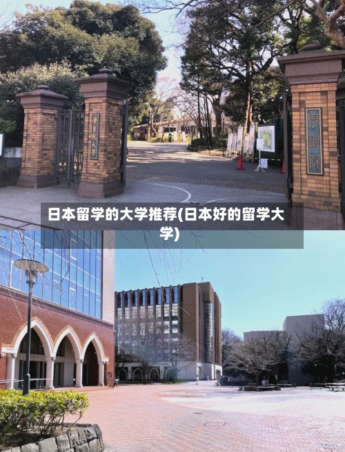 日本留学的大学推荐(日本好的留学大学)