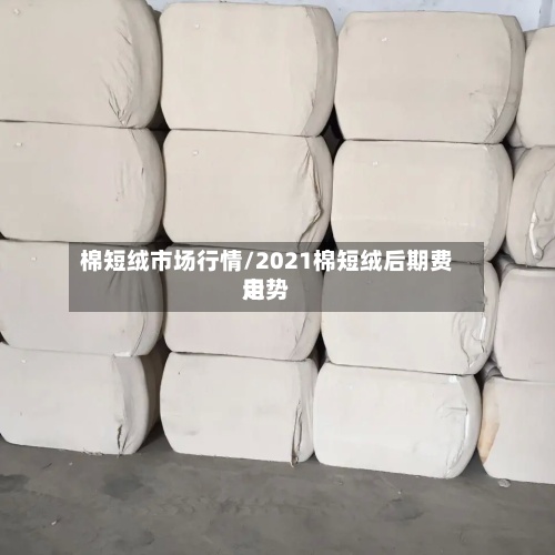 棉短绒市场行情/2021棉短绒后期费用
走势-第2张图片