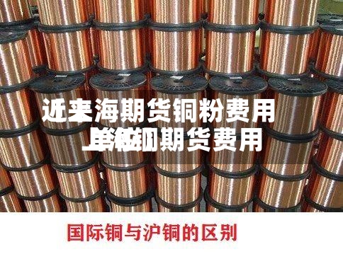 近来【上海期货铜粉费用上海铜期货费用 单位】