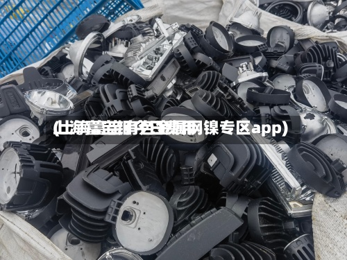 上海富宝钼今日费用
(上海富宝有色金属网镍专区app)