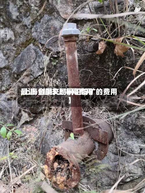 最近【铅锌上海网费用
,上海金属交易网铅锌矿的费用
】