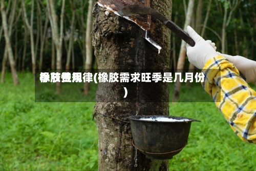 橡胶费用
季节性规律(橡胶需求旺季是几月份)-第2张图片