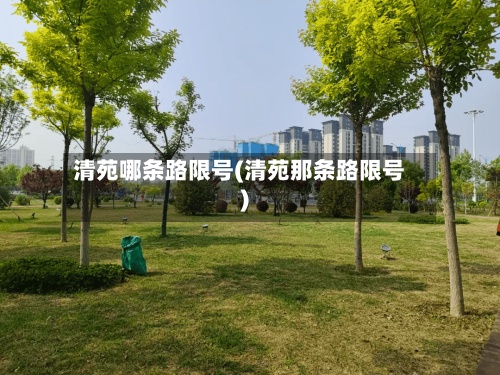清苑哪条路限号(清苑那条路限号)-第2张图片