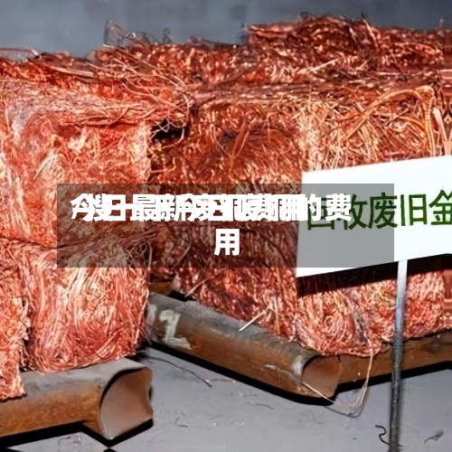今日最新废铜费用
/搜一下今日废铜的费用
