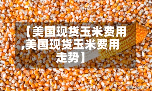【美国现货玉米费用
,美国现货玉米费用
走势】-第2张图片