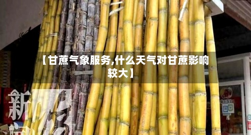 【甘蔗气象服务,什么天气对甘蔗影响较大】