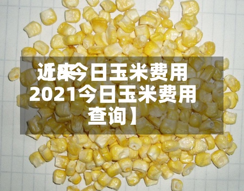 近来【8今日玉米费用2021今日玉米费用查询】