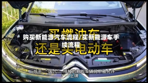 购买新能源汽车流程/买新能源车手续流程