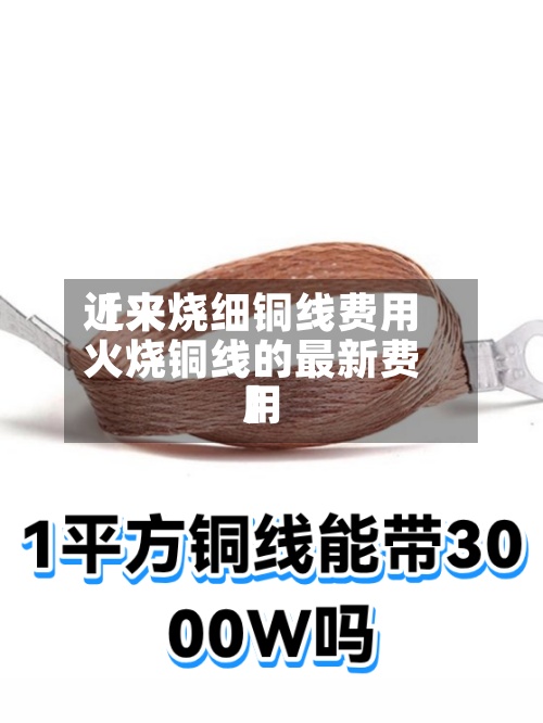 近来
【火烧细铜线费用
火烧铜线的最新费用
】