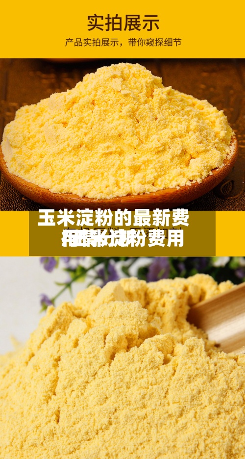 玉米淀粉的最新费用
/玉米淀粉费用
行情分析