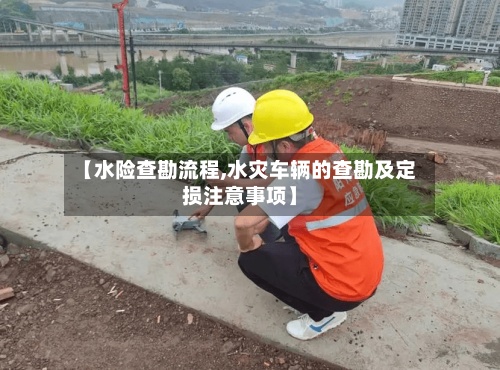 【水险查勘流程,水灾车辆的查勘及定损注意事项】-第2张图片