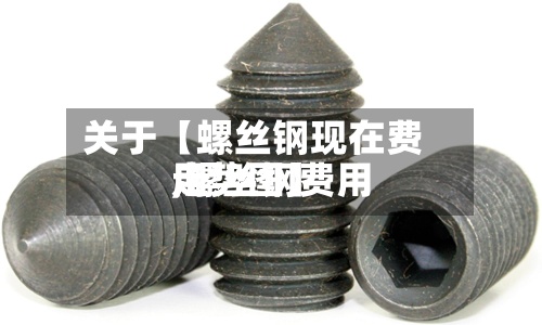 关于【螺丝钢现在费用
,螺丝钢费用
走势图】