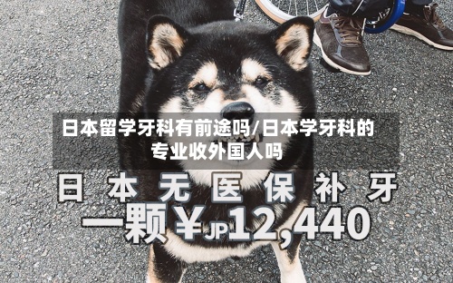 日本留学牙科有前途吗/日本学牙科的专业收外国人吗-第3张图片