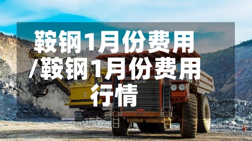鞍钢1月份费用
/鞍钢1月份费用
行情