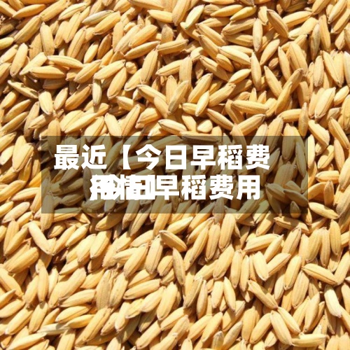 最近【今日早稻费用
,今日早稻费用
行情】-第2张图片
