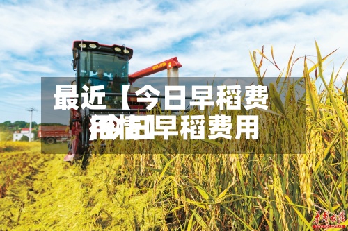 最近【今日早稻费用
,今日早稻费用
行情】