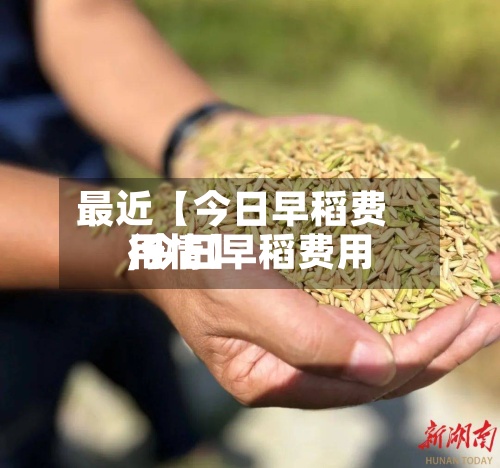 最近【今日早稻费用
,今日早稻费用
行情】-第3张图片