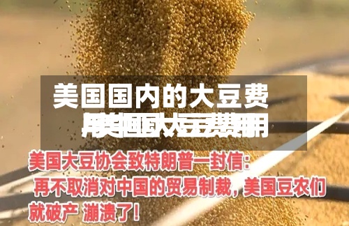 美国国内的大豆费用/美国大豆费用与中国大豆费用-第3张图片