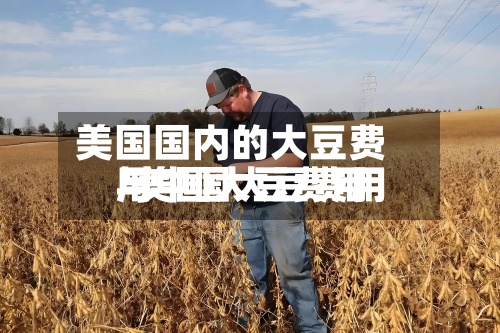 美国国内的大豆费用
/美国大豆费用
与中国大豆费用
