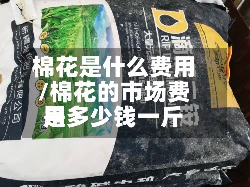 棉花是什么费用
/棉花的市场费用
是多少钱一斤