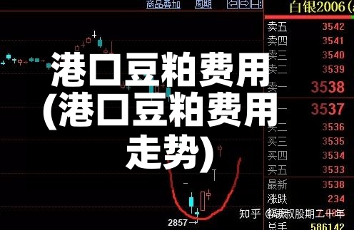 港口豆粕费用(港口豆粕费用走势)