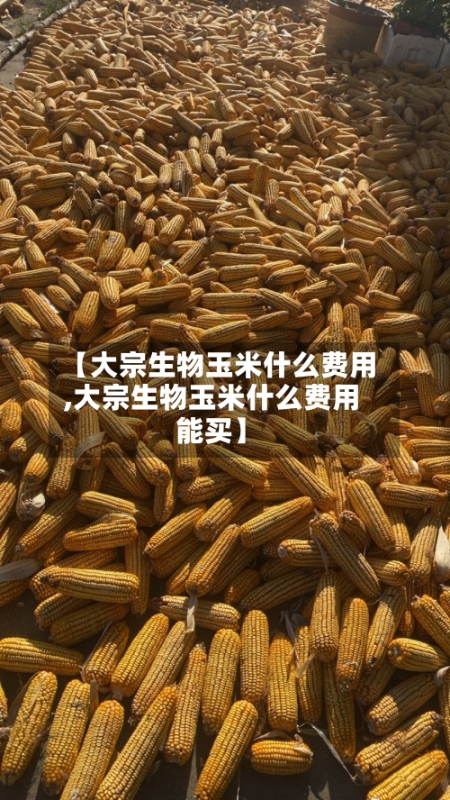 【大宗生物玉米什么费用
,大宗生物玉米什么费用
能买】