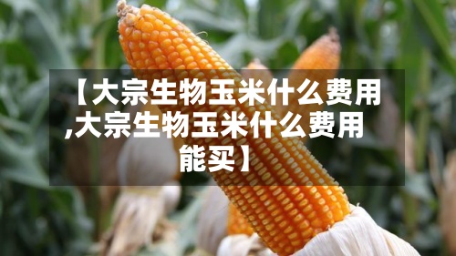 【大宗生物玉米什么费用
,大宗生物玉米什么费用
能买】-第3张图片