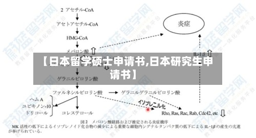 【日本留学硕士申请书,日本研究生申请书】-第3张图片