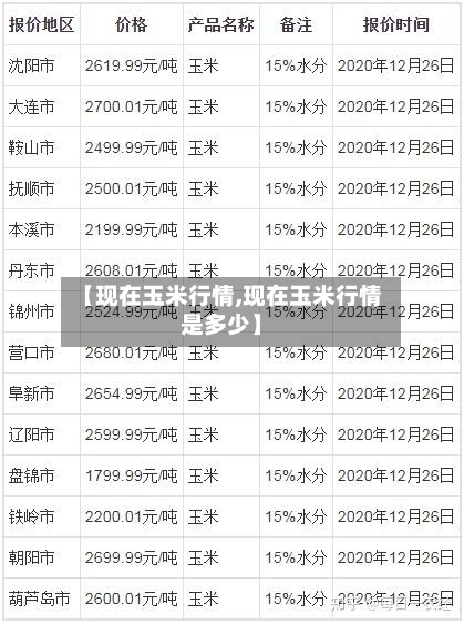 【现在玉米行情,现在玉米行情是多少】