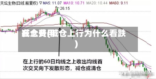 减仓费用
在上升(减仓上行为什么看跌)