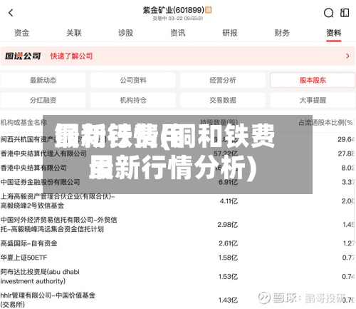 铜和铁费用最新行情(铜和铁费用最新行情分析)