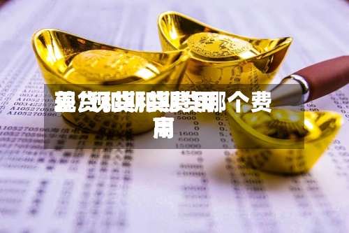 现货和期货费用差/现货和期货哪个费用高-第2张图片