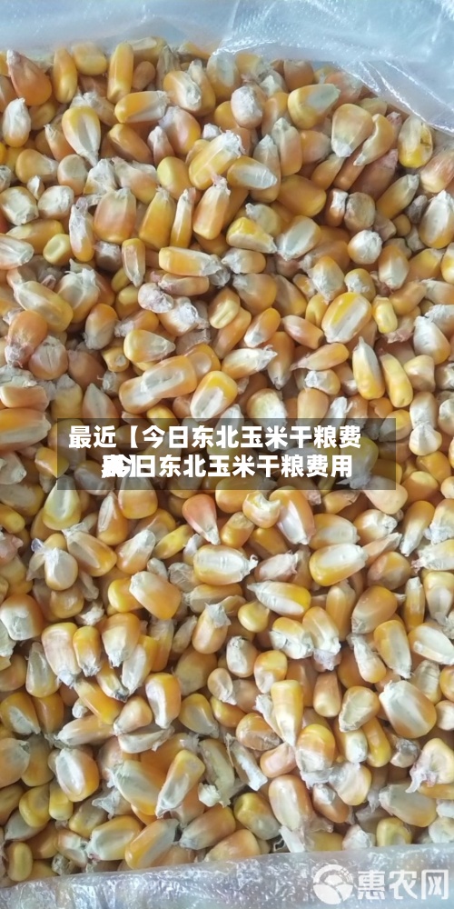最近【今日东北玉米干粮费用
,今日东北玉米干粮费用
表】