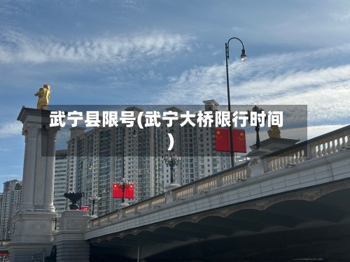 武宁县限号(武宁大桥限行时间)