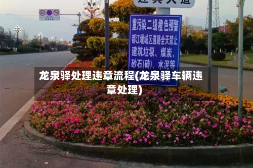 龙泉驿处理违章流程(龙泉驿车辆违章处理)-第2张图片