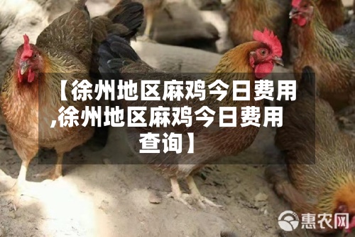 【徐州地区麻鸡今日费用
,徐州地区麻鸡今日费用
查询】