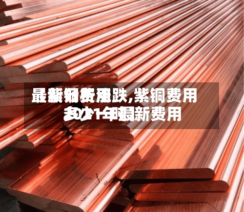 【紫铜费用
最新分析涨跌,紫铜费用
2021年最新费用
多少一吨】