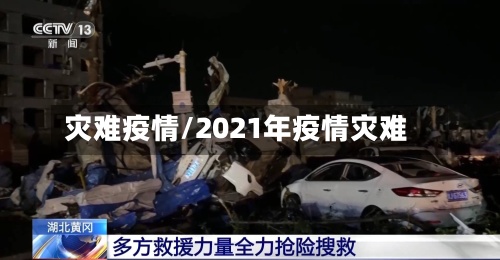 灾难疫情/2021年疫情灾难