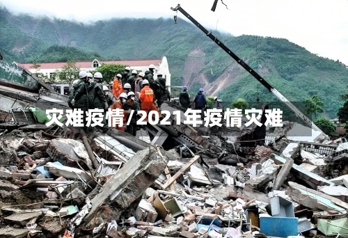 灾难疫情/2021年疫情灾难-第3张图片
