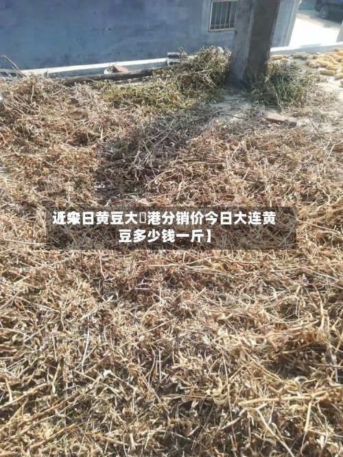近来
【今日黄豆大連港分销价今日大连黄豆多少钱一斤】