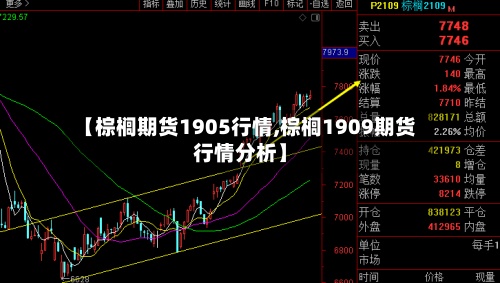 【棕榈期货1905行情,棕榈1909期货行情分析】